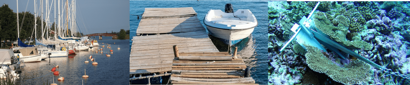 Marine environmental concerns