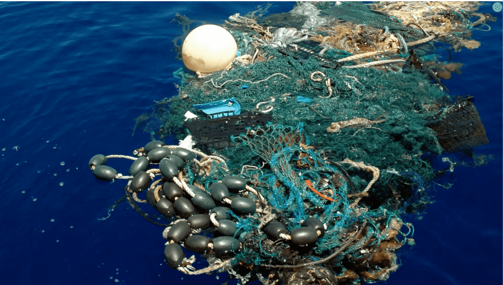 Moorage tackle among debris field