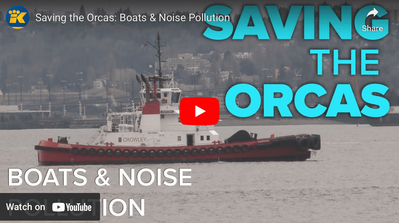 Impact of noise on Orcas